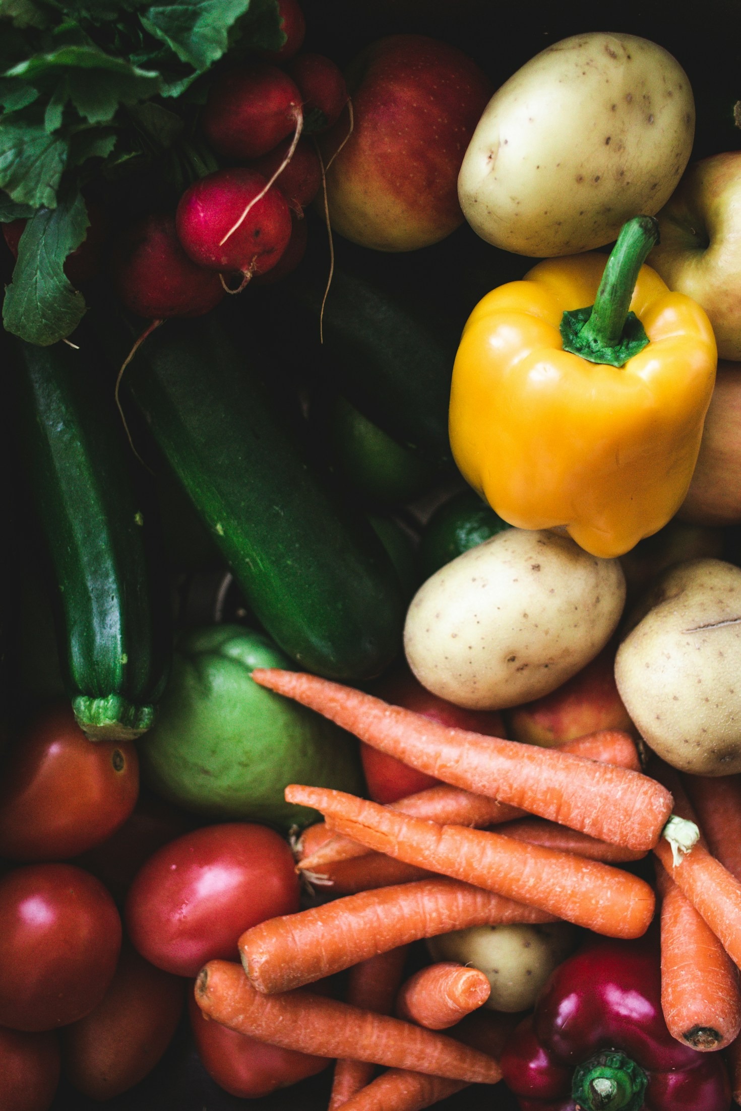 The Science Behind Balanced Nutrition and Wellness